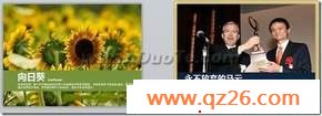 WPS Office小技巧 三步制作精美信纸