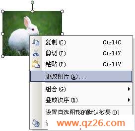 内容图片