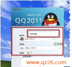内容图片